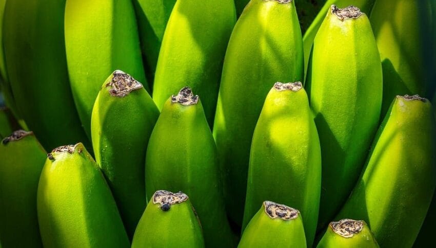 Maximizing Your Savings: Understanding Discounts and Subsidies for Health Insurance