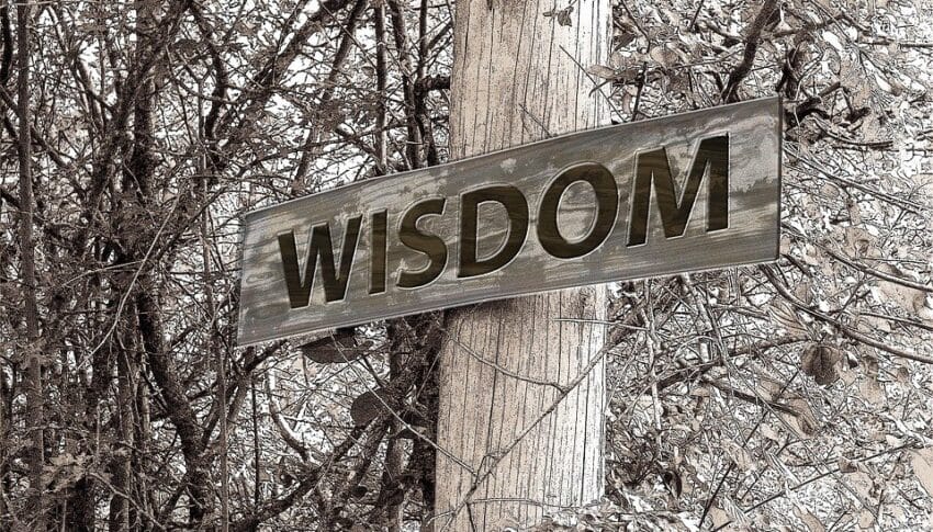 From Field to Fame: How Sports Scholarships Transform Athletes’ Futures