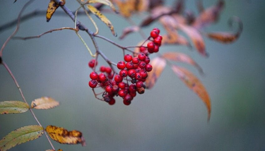 Is Affordable Health Insurance a Reality? Exploring Options for Every Family