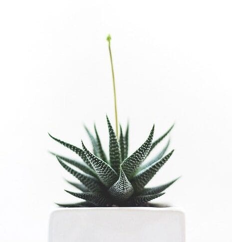 Making Sense of Open Enrollment: How to Choose the Right Family Health Insurance Plan