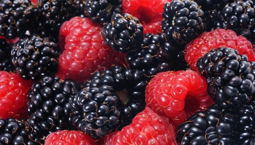 Navigating Open Enrollment: Tips for Securing Affordable Health Insurance