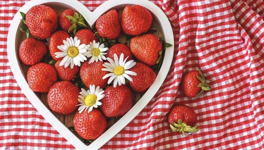 Health Insurance for College Students: Affordable Options for Young Adults