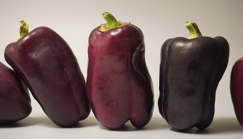 Is Short-Term Health Insurance Worth It? Real Stories from Policyholders