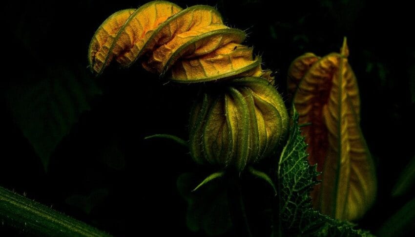 Your Rights to Affordable Health Insurance: What Every American Should Know